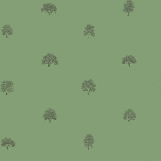 Arboretet Swedish Trees - Wallpaper Trader