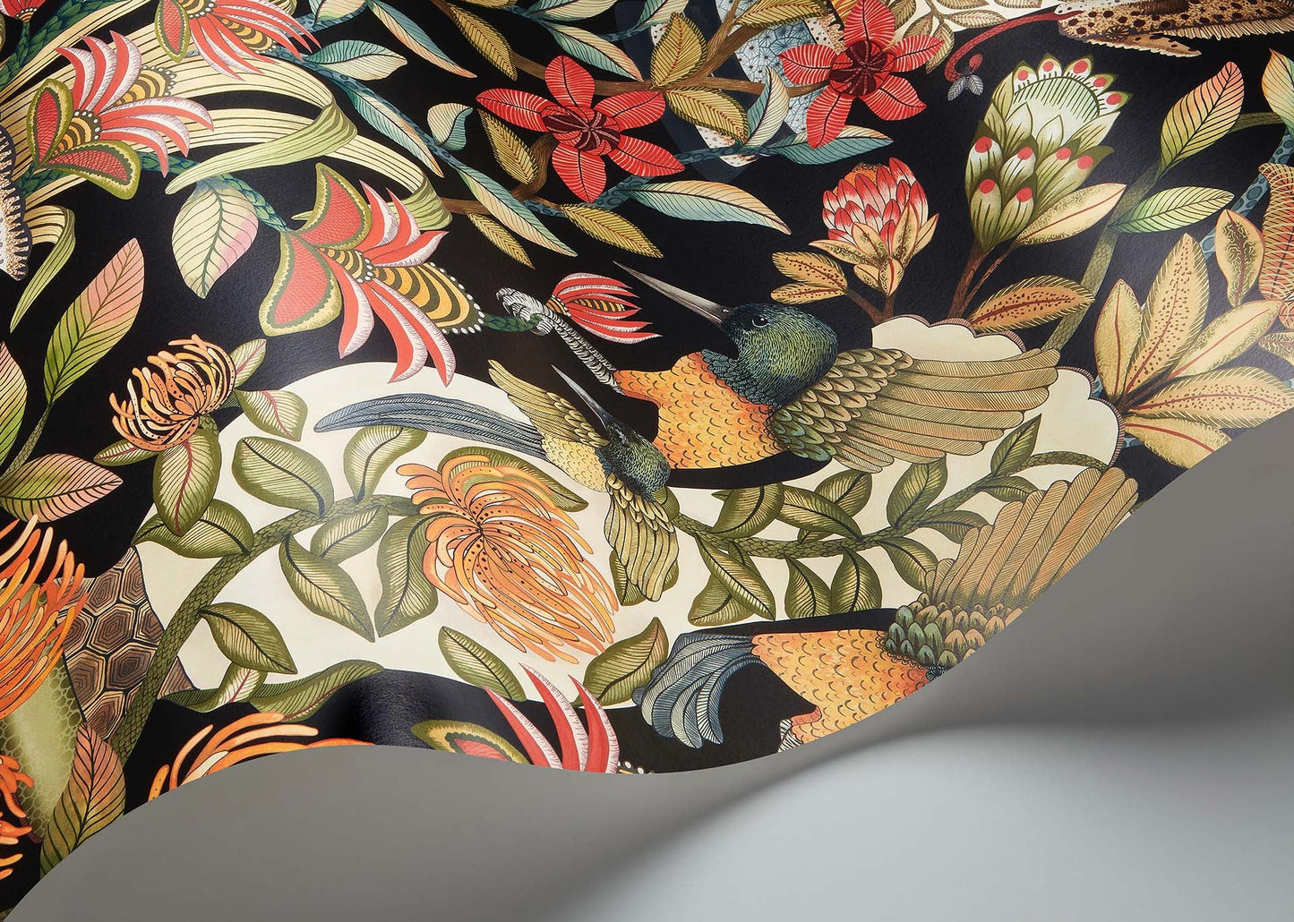 Protea Garden - Wallpaper Trader