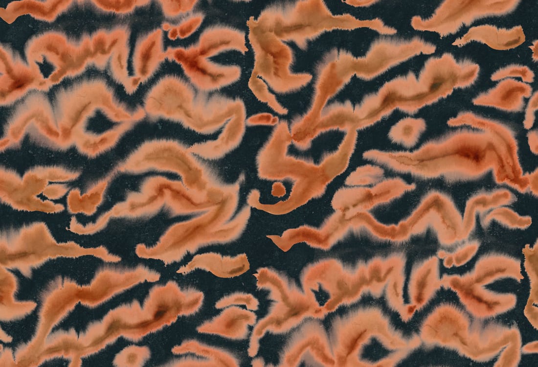 Guppy - Wallpaper Trader