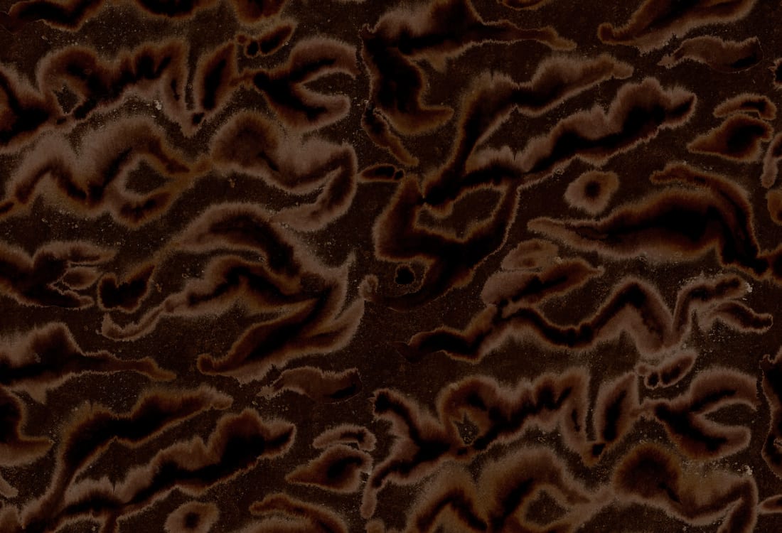 Guppy - Wallpaper Trader