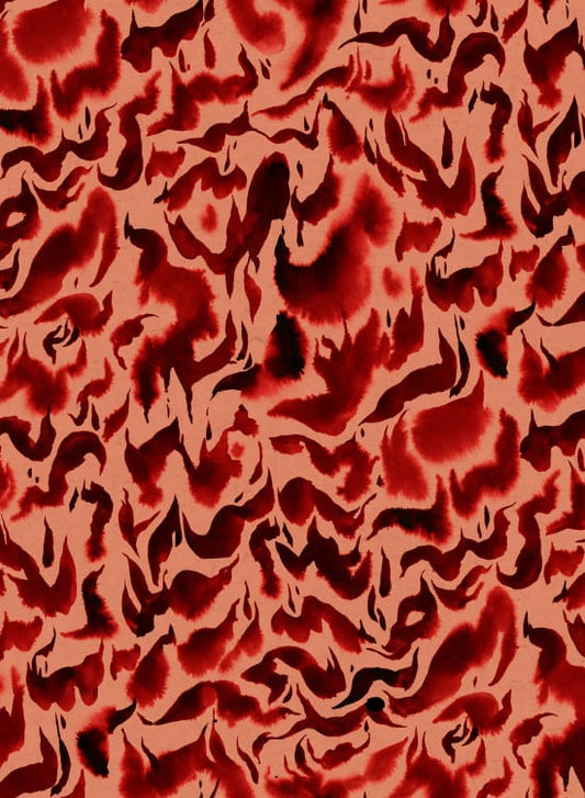 Discus Fish - Wallpaper Trader