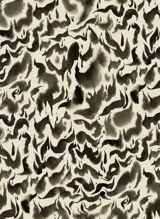 Discus Fish - Wallpaper Trader