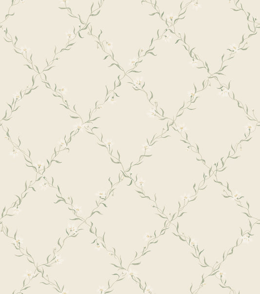 Ewa - Wallpaper Trader