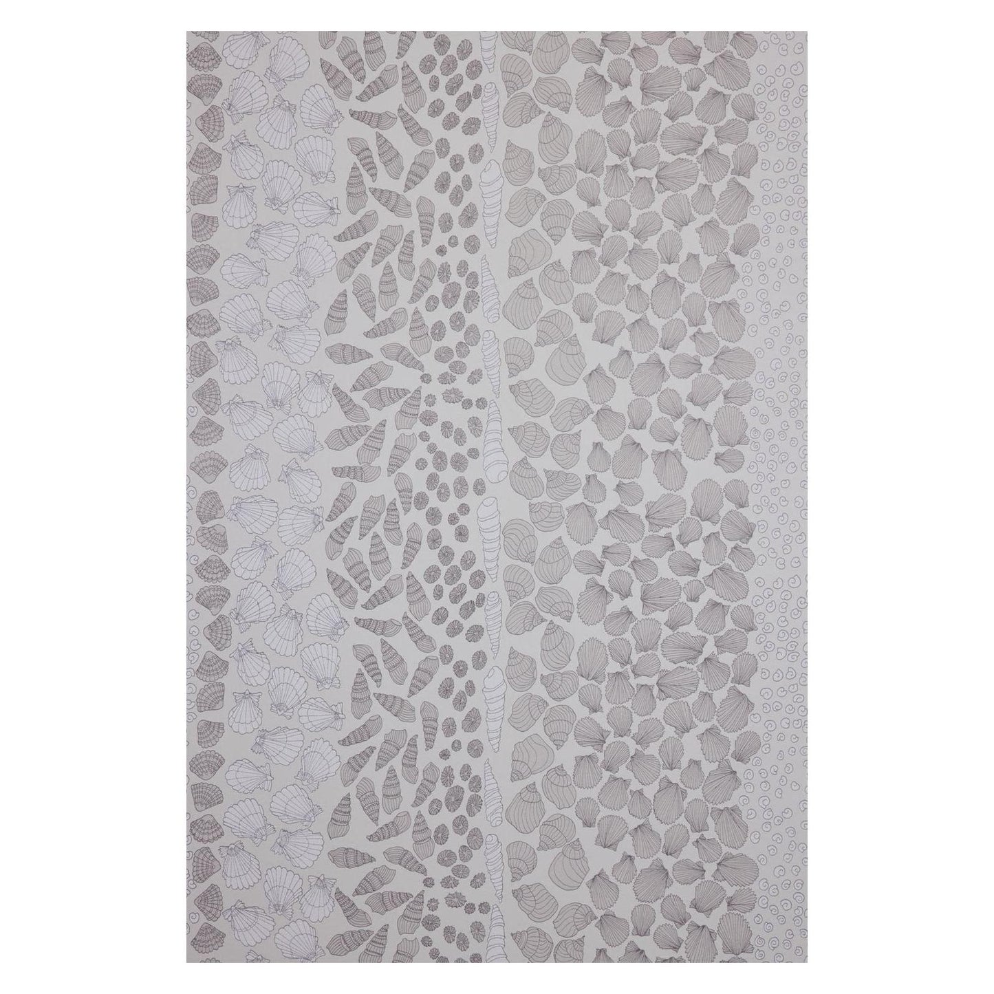 Seashells - Wallpaper Trader