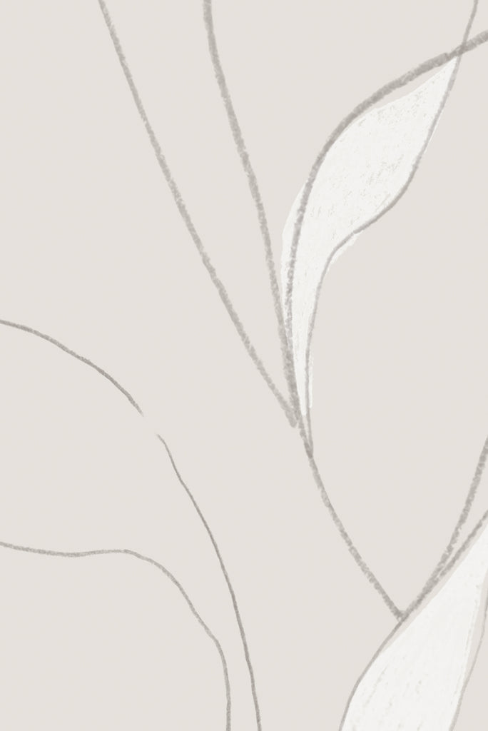 Vine
