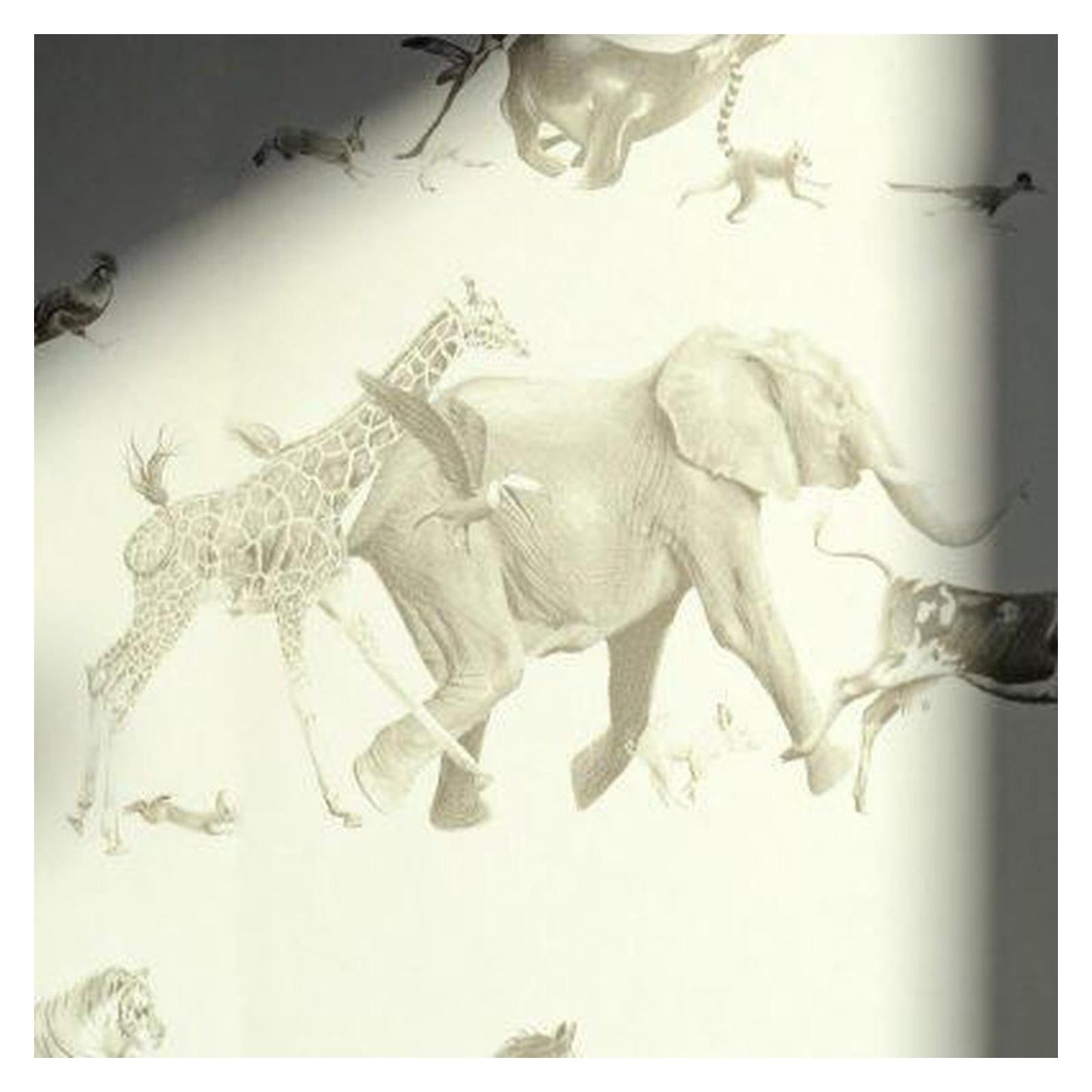 Animals - Pencil on Bone - Wallpaper Trader