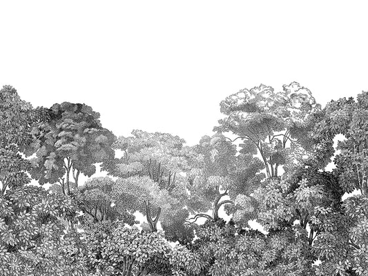 Bellewood - Black Toile - Wallpaper Trader