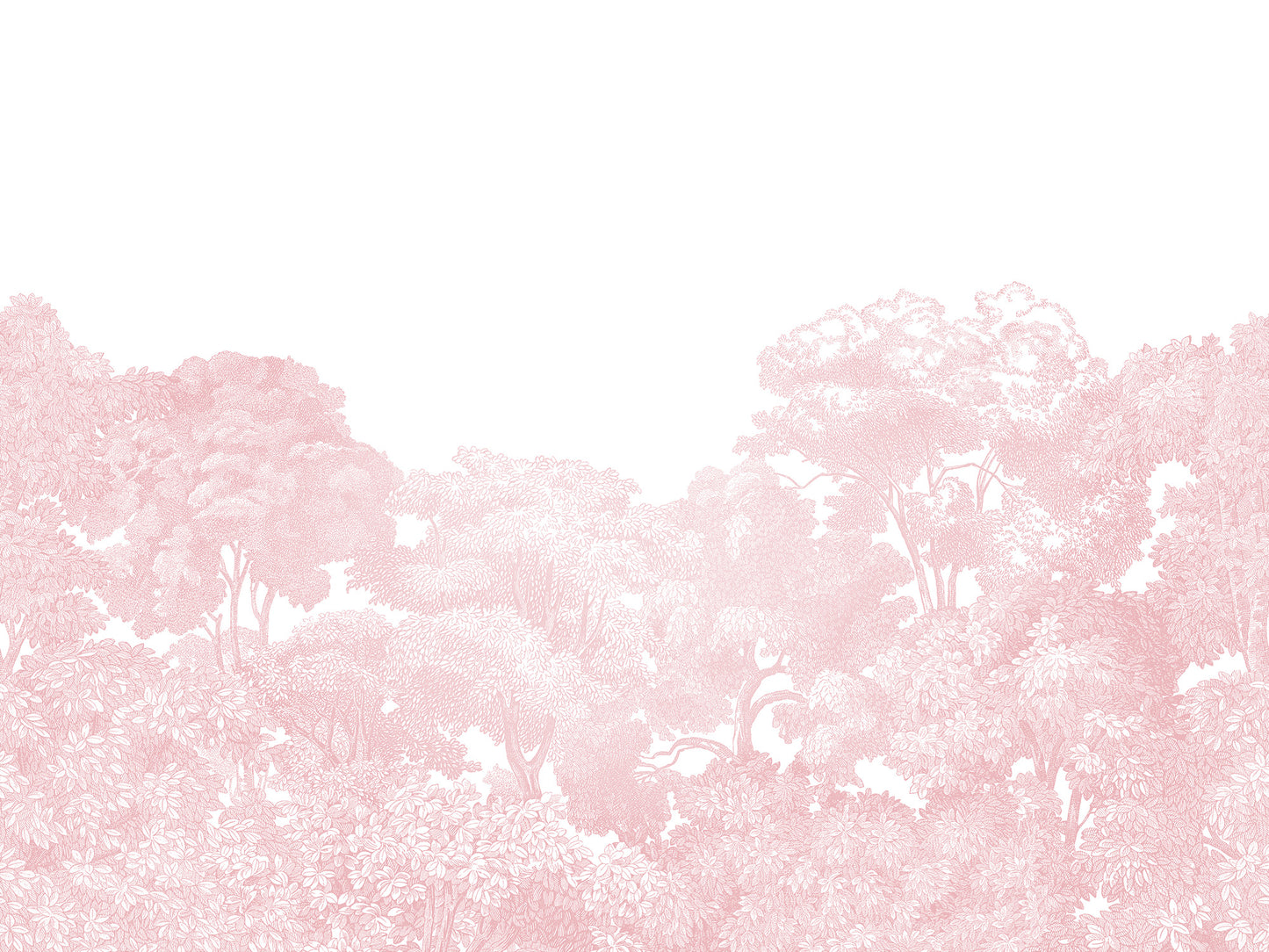 Bellewood - Pink & White - Wallpaper Trader