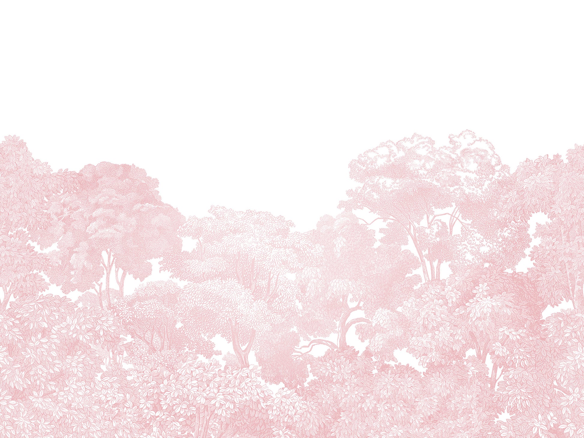 Bellewood - Pink & White - Wallpaper Trader