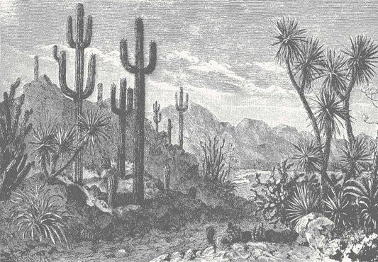 Oasis Desert Wall Mural - Monochrome - Wallpaper Trader