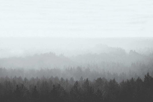 Vintage Forest Wall Mural - Ice - Wallpaper Trader