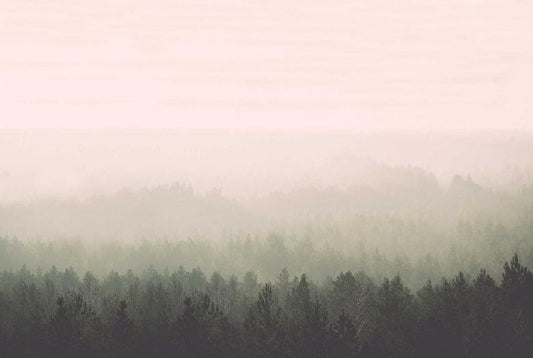 Vintage Forest Wall Mural - Original - Wallpaper Trader