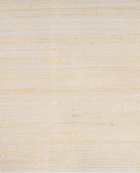 Fine Arrowroot grasscloth wallpaper by Eijffinger, flat swatch in creamy white with faint golden arrowroot strands