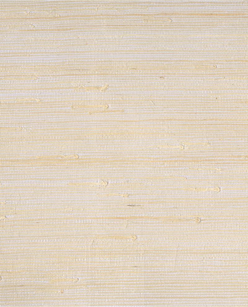 Fine Arrowroot grasscloth wallpaper by Eijffinger, flat swatch in creamy white with faint golden arrowroot strands