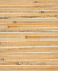 Bamboo Reed grasscloth wallpaper by Eijffinger, flat swatch in honey-gold bamboo slats with natural variation