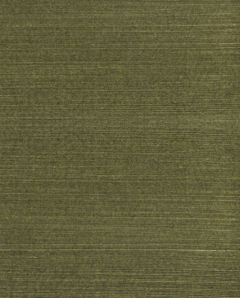 Fine Sisal wallpaper by Eijffinger, flat swatch of fine woven sisal grasscloth in deep olive green