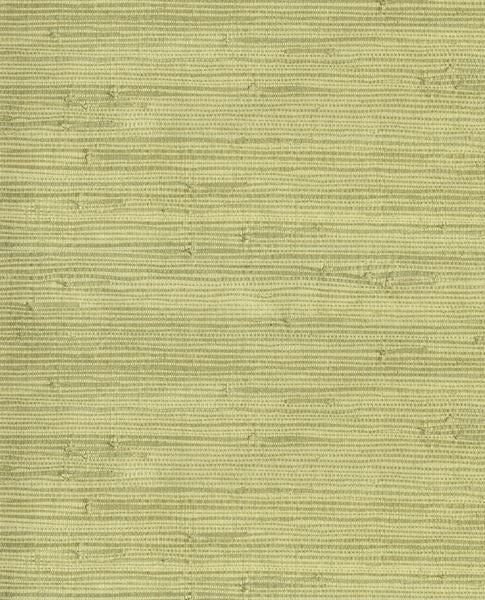 Fine Reed grasscloth wallpaper by Eijffinger, close-up swatch in soft sage green natural reed texture