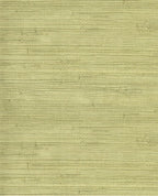 Fine Reed grasscloth wallpaper by Eijffinger, close-up swatch in soft sage green natural reed texture