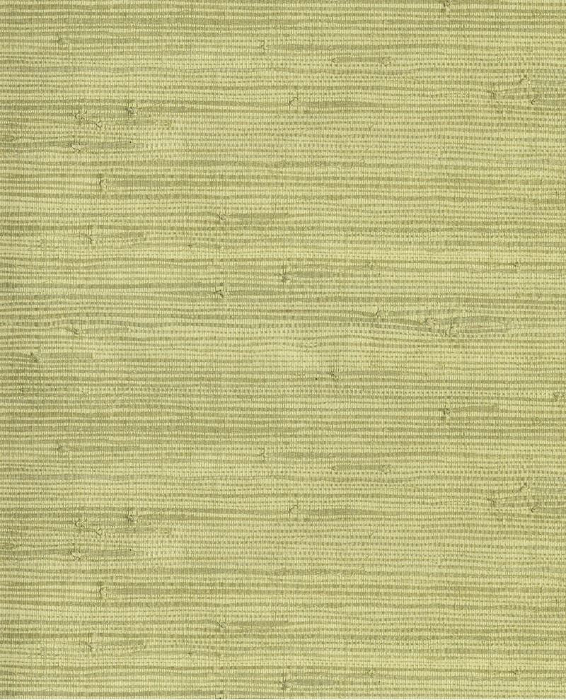 Fine Reed grasscloth wallpaper by Eijffinger, close-up swatch in soft sage green natural reed texture