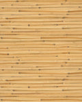 Wide Reed grasscloth wallpaper by Eijffinger, flat swatch of wide honey-gold bamboo reed with dark accents