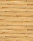 Wide Reed grasscloth wallpaper by Eijffinger, flat swatch of wide honey-gold bamboo reed with dark accents
