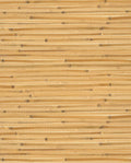 Wide Reed grasscloth wallpaper by Eijffinger, flat swatch of wide honey-gold bamboo reed with dark accents