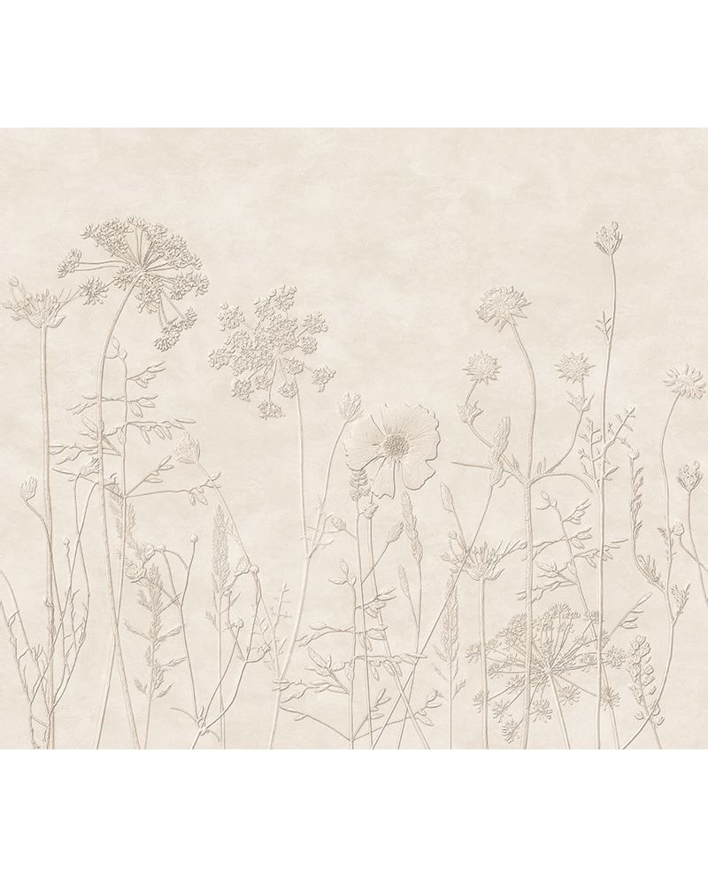 Wildflower Meadow wall mural by Eijffinger, hand-drawn meadow flowers and grasses on a soft cream plaster background