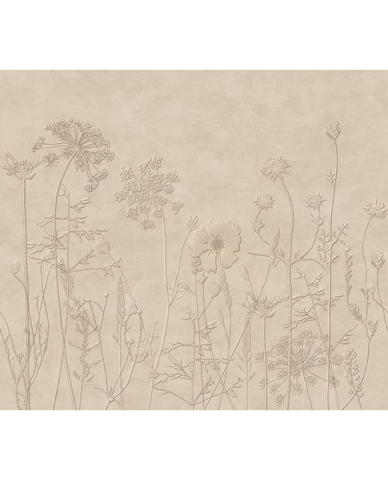 Wildflower Meadow wall mural by Eijffinger, sketched wildflowers and seed heads on a warm sandy beige ground