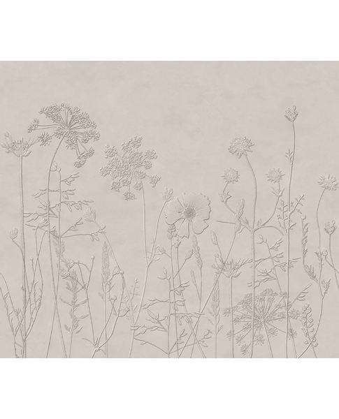Wildflower Meadow wall mural by Eijffinger, delicate line-drawn meadow flowers on a muted greige plaster background