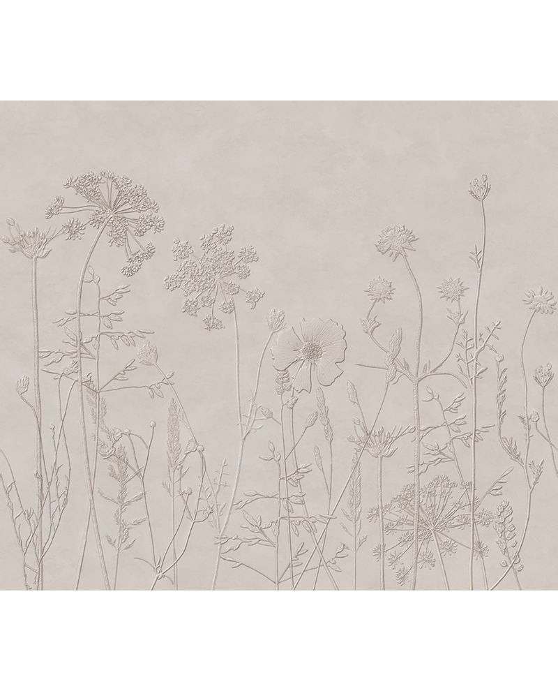 Wildflower Meadow wall mural by Eijffinger, delicate line-drawn meadow flowers on a muted greige plaster background