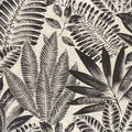 Aloes - Noir/Grege