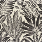 Aloes - Noir/Grege