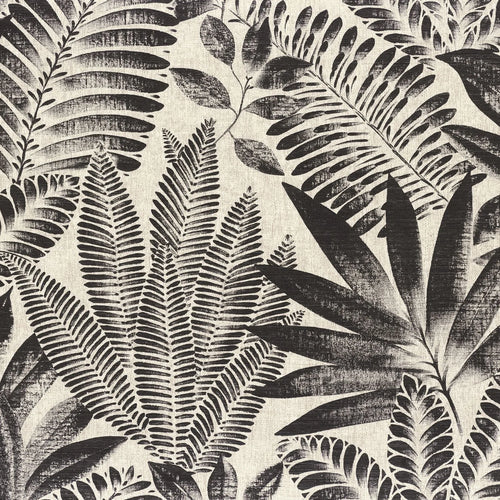 Aloes - Noir/Grege