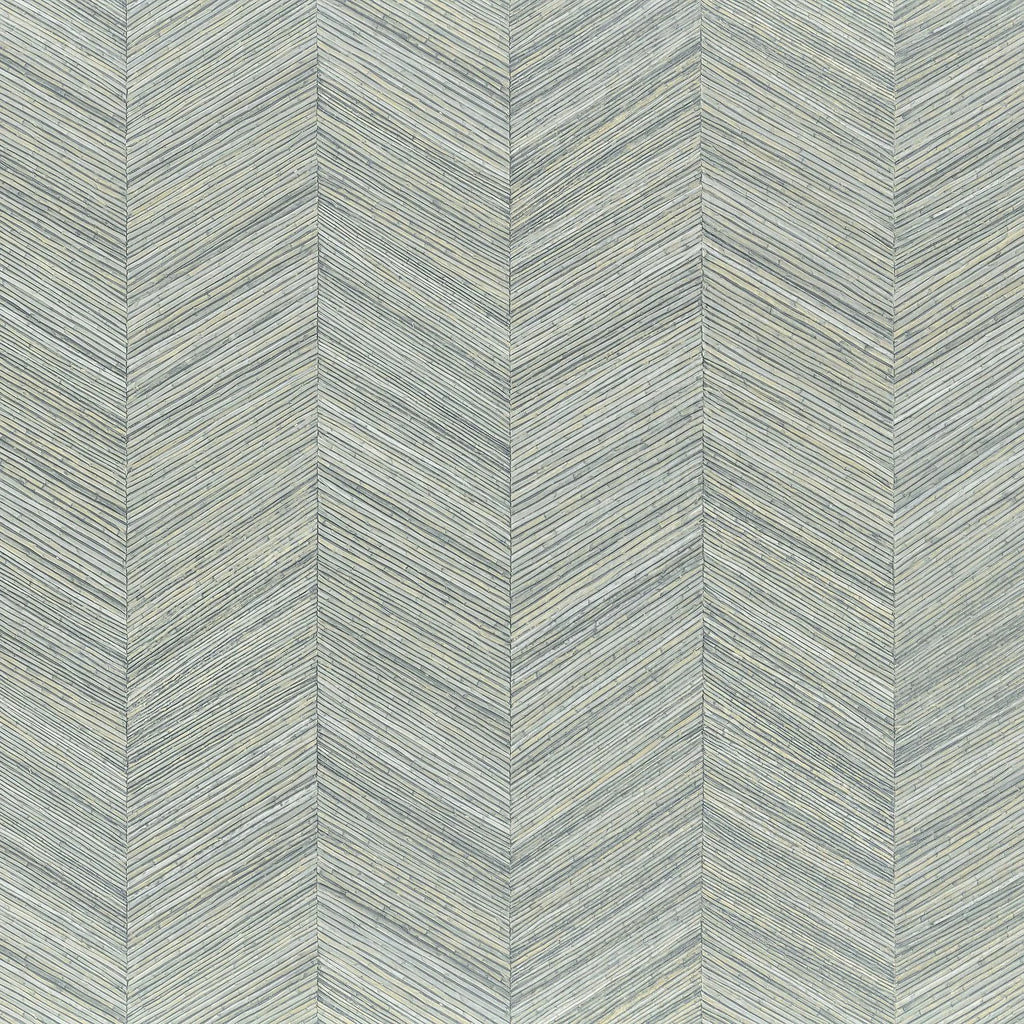 Ocotea - Opaline