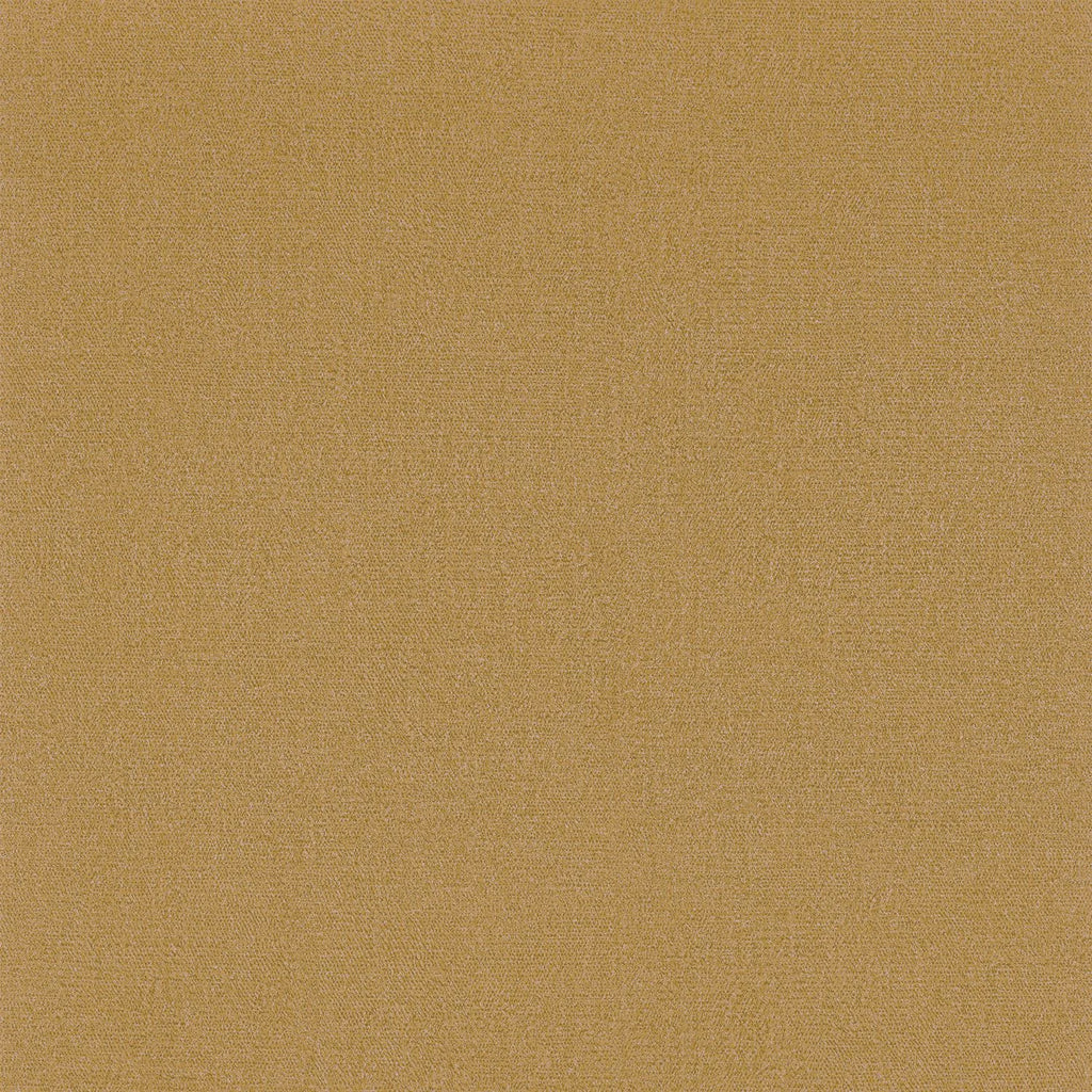 Octa - Ocre