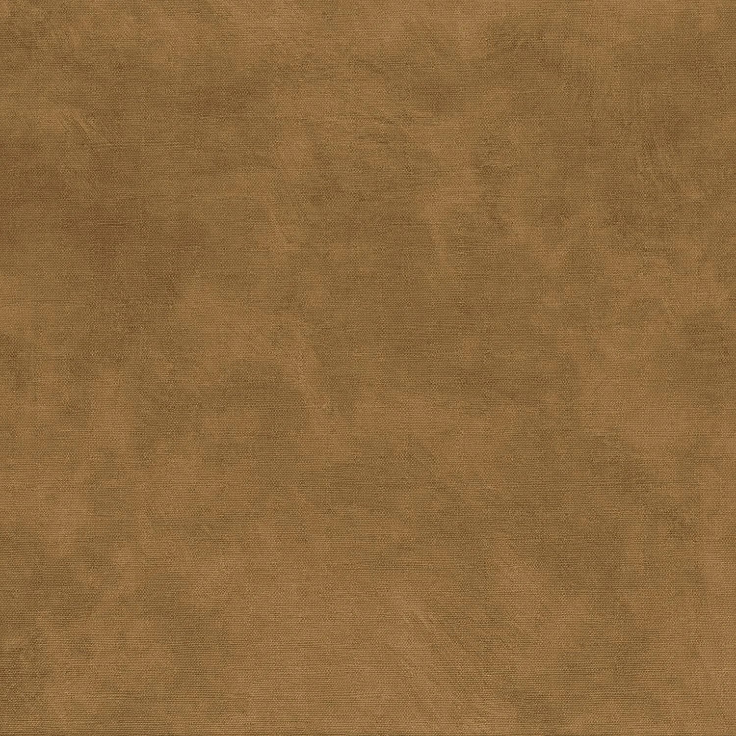 Argile - Camel