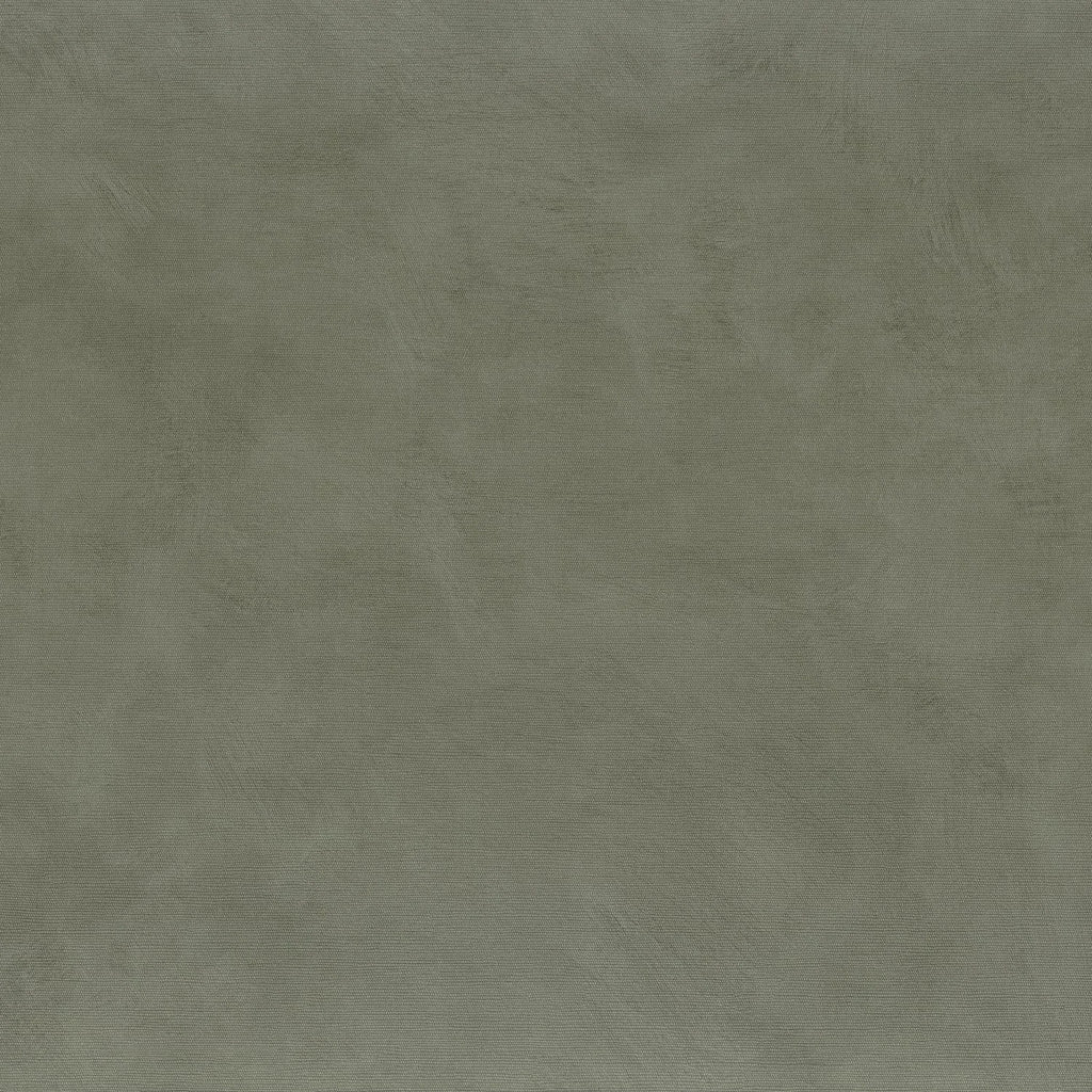 Argile - Lichen