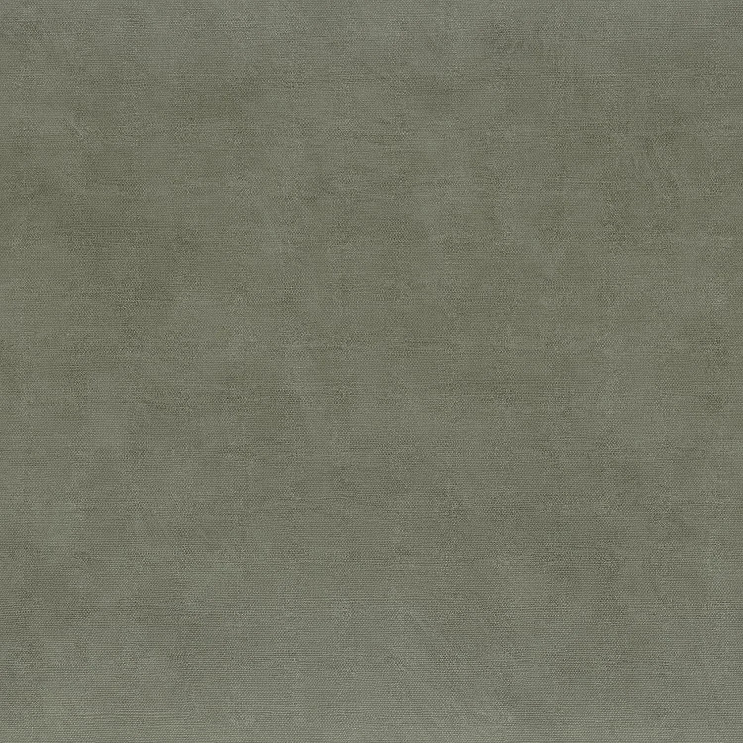 Argile - Lichen