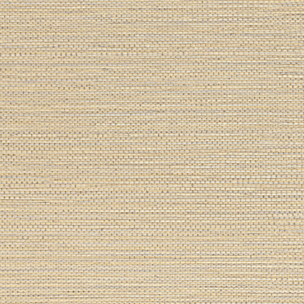 Zostera - Travertin