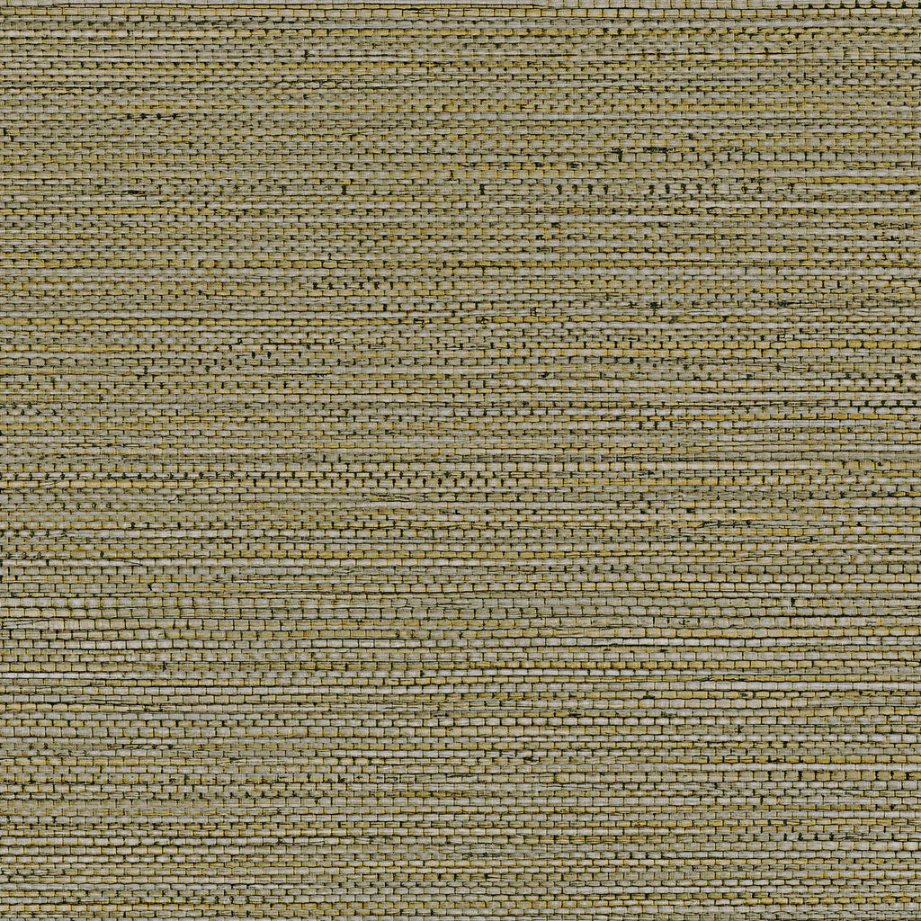 Zostera - Kaki