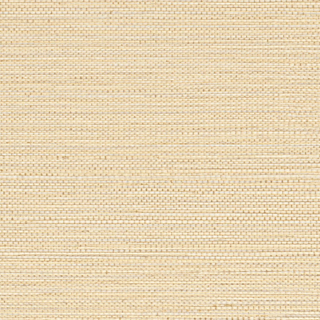 Zostera - Coquille