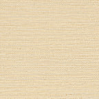 Zostera - Coquille