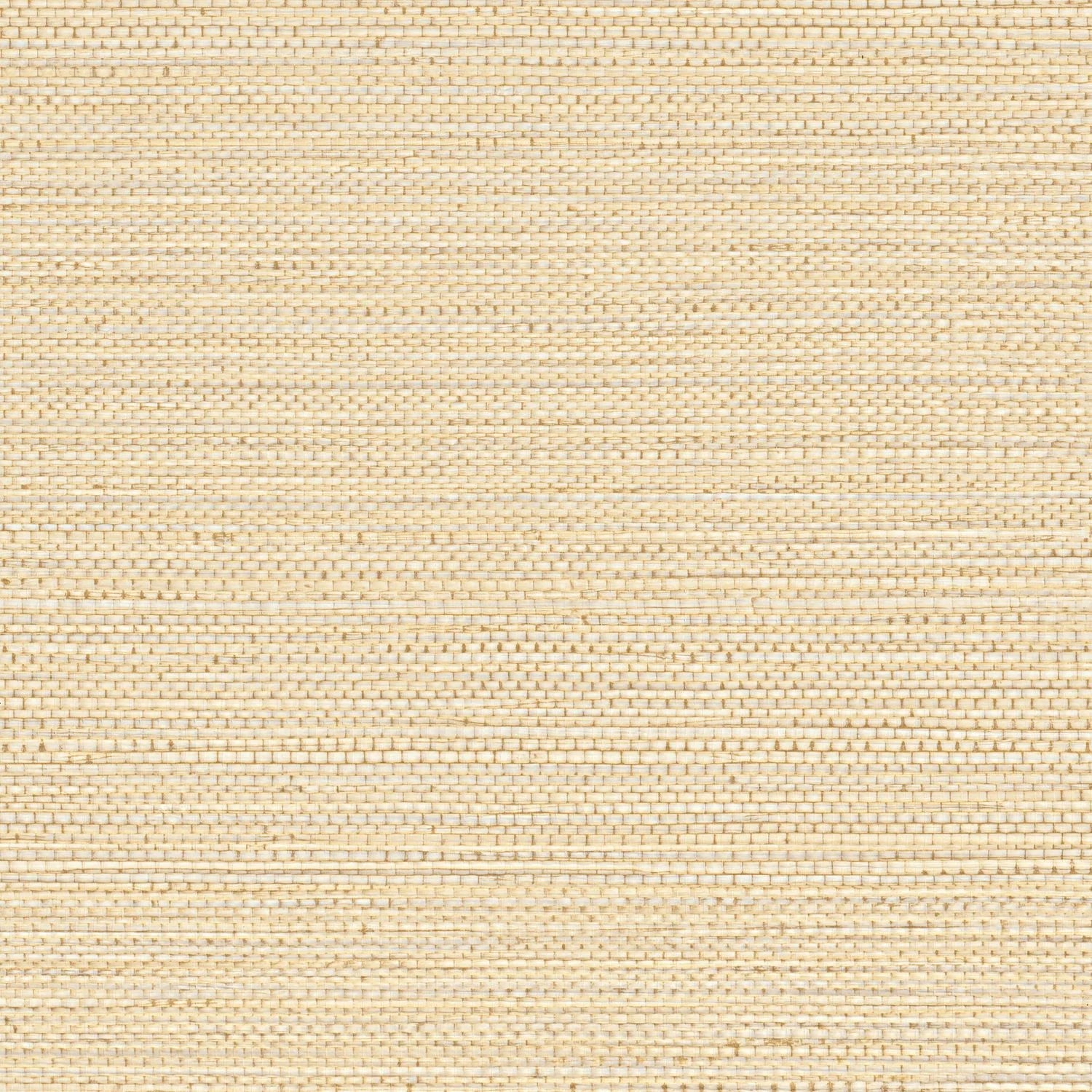 Zostera - Coquille