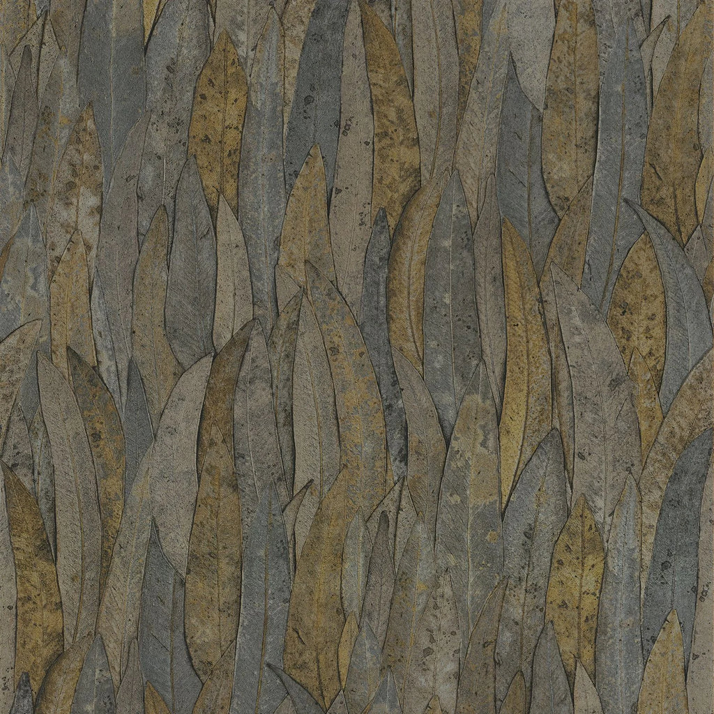 Neluwa - Anthracite
