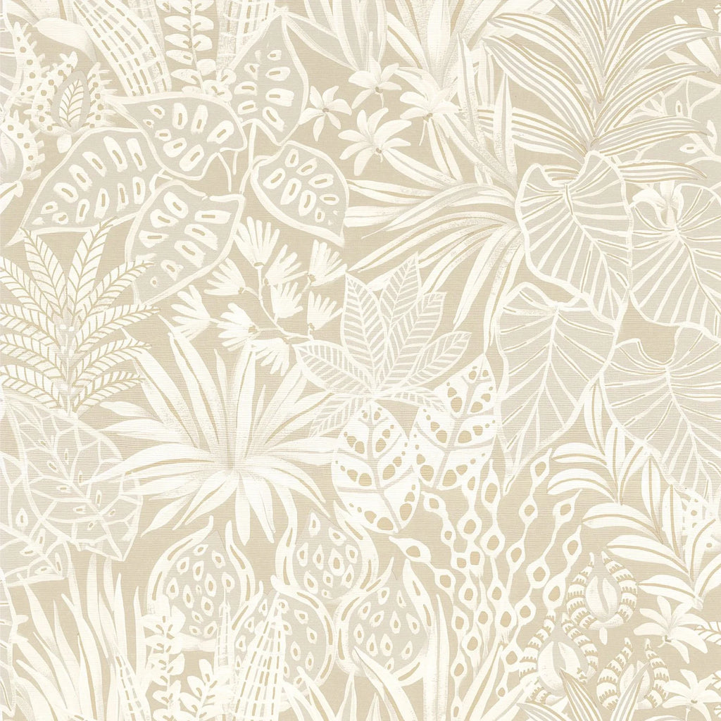 Madhuca - Sable