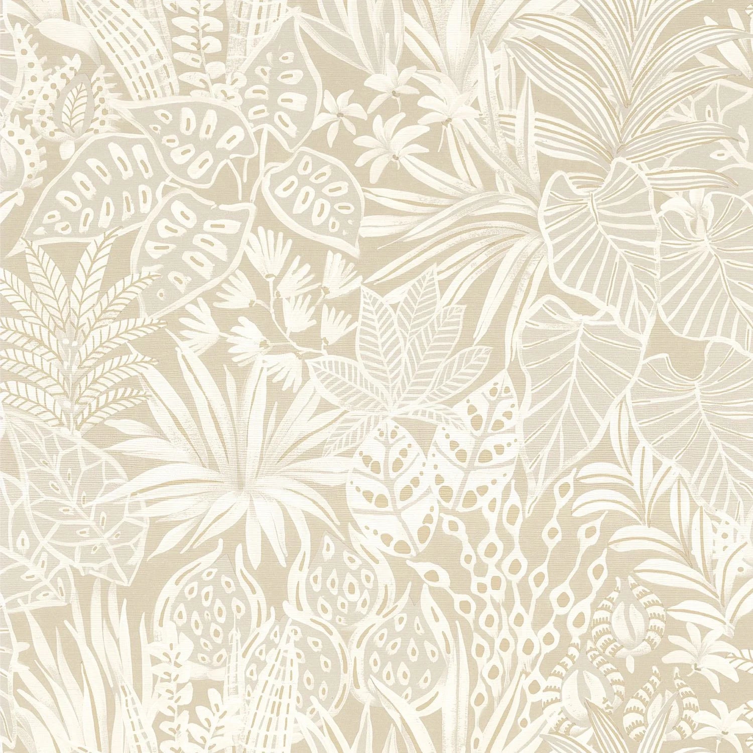 Madhuca - Sable