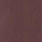 Jassine - Prune