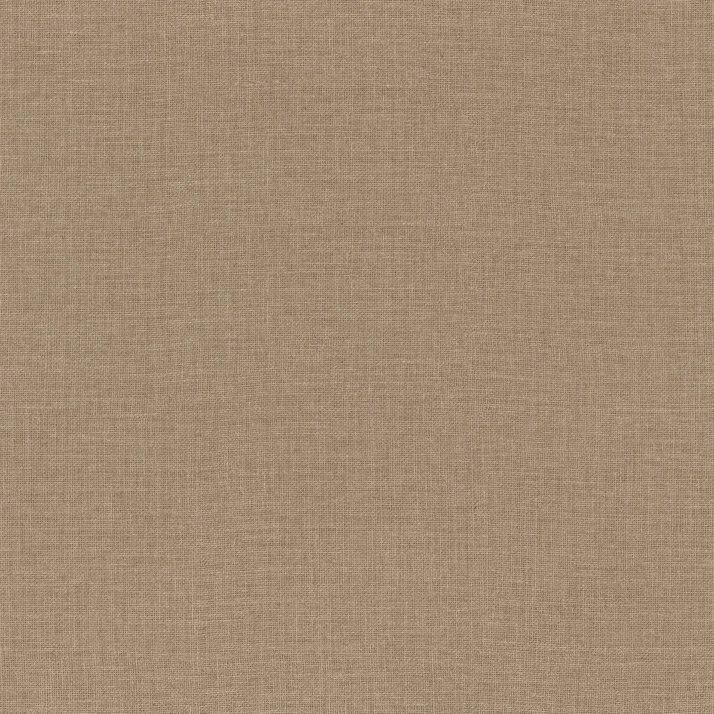 Lienzo - Latte