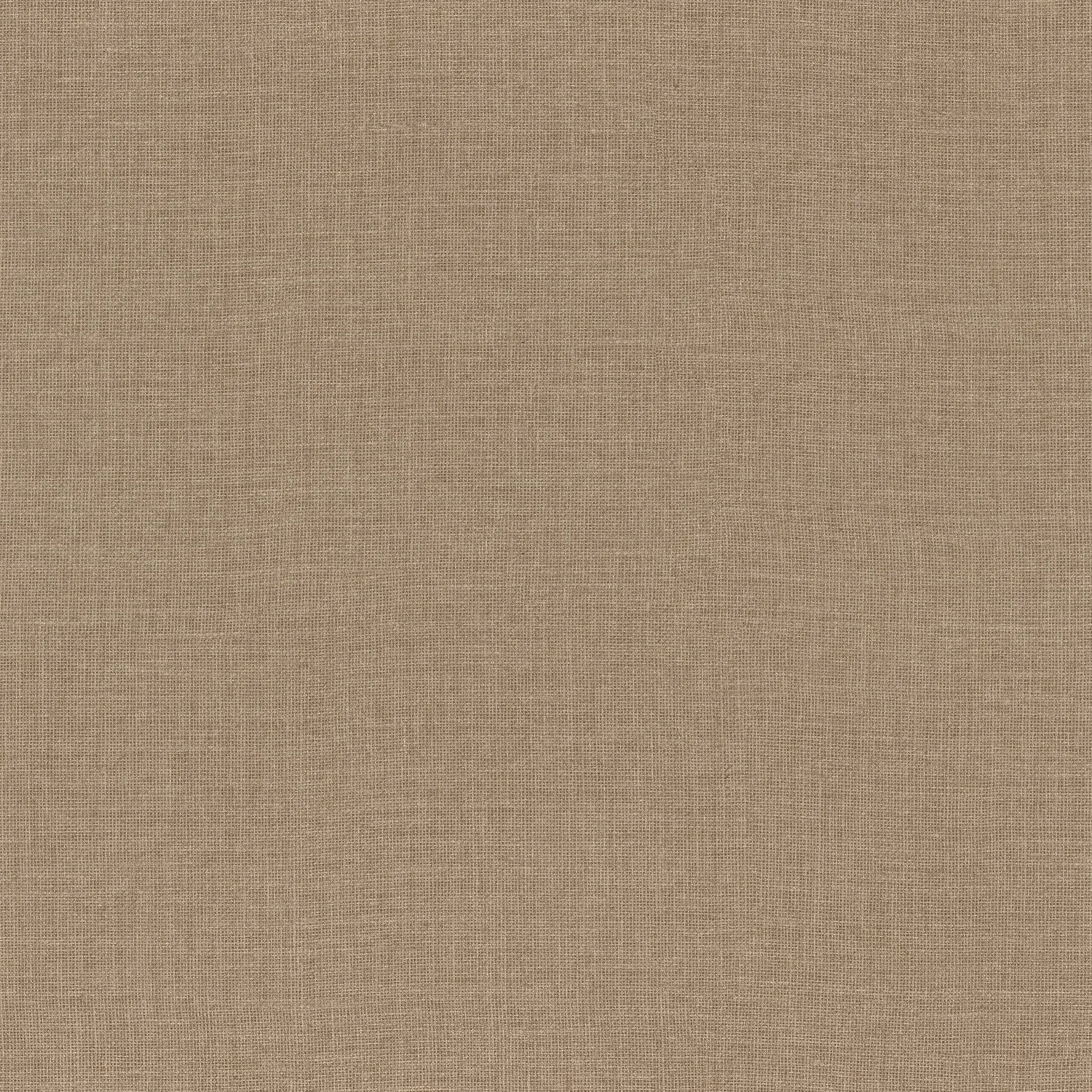 Lienzo - Latte