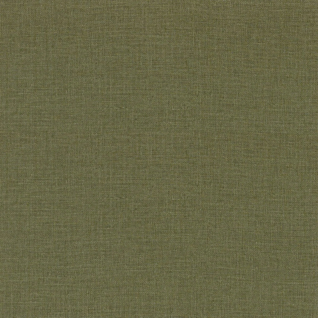 Lienzo - Kaki